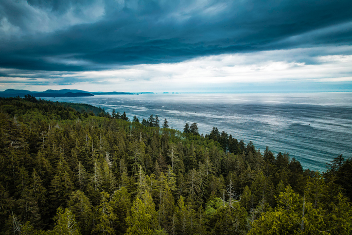 The rugged Washington coast that greets you on your way to Seabrook, a charming coastal community.